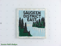 Saugeen District East [ON S24b.1]